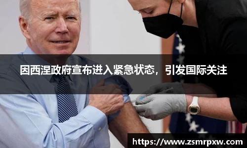 因西涅政府宣布进入紧急状态，引发国际关注